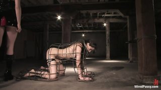 Sasha Grey is restrained in a metal cage, forced to suck big black dildo