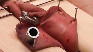 Sweet ass of amazing BBW starts to beeld after crazy as hell BDSM game