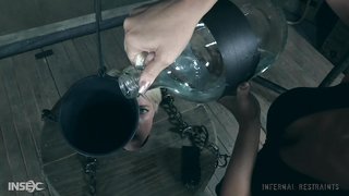 Chained big-bottomed lady with short hairs forced to drink alcohol