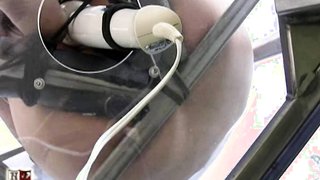 Bitch trapped in a transparent box was brought outside to play