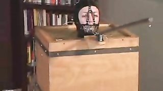 Master puts a latex wearing whore into a small wooden box