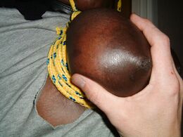 rifran black tied tits 03