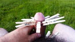 My foreskin with clothes pins