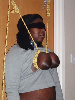 rifran black tied tits 03