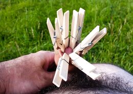 My foreskin with clothes pins