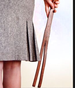 Favorite implements in the discipline of naughty schoolgirls