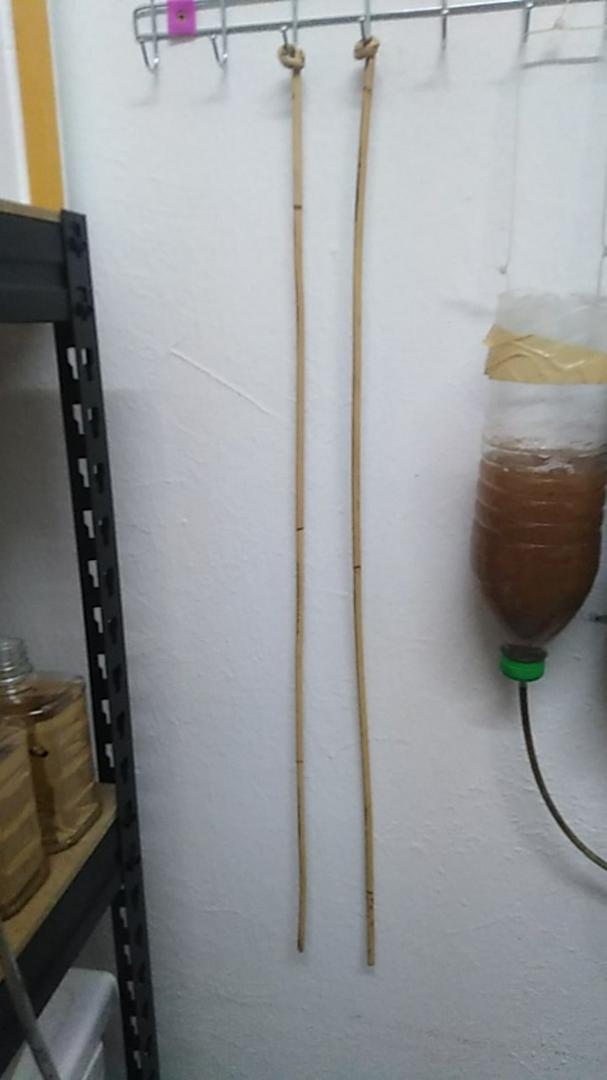 Christmas gifts for young ladies