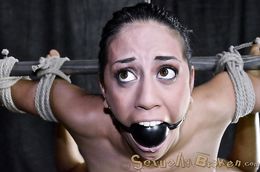 Lyla Storm and many more whores gagged bound and blindfolded
