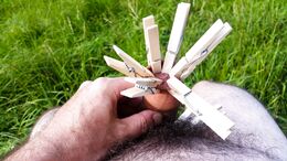 My foreskin with clothes pins