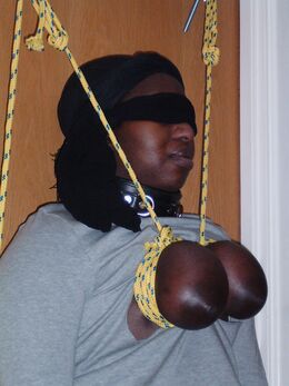 rifran black tied tits 03
