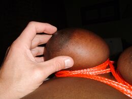 rifran black tied tits 02