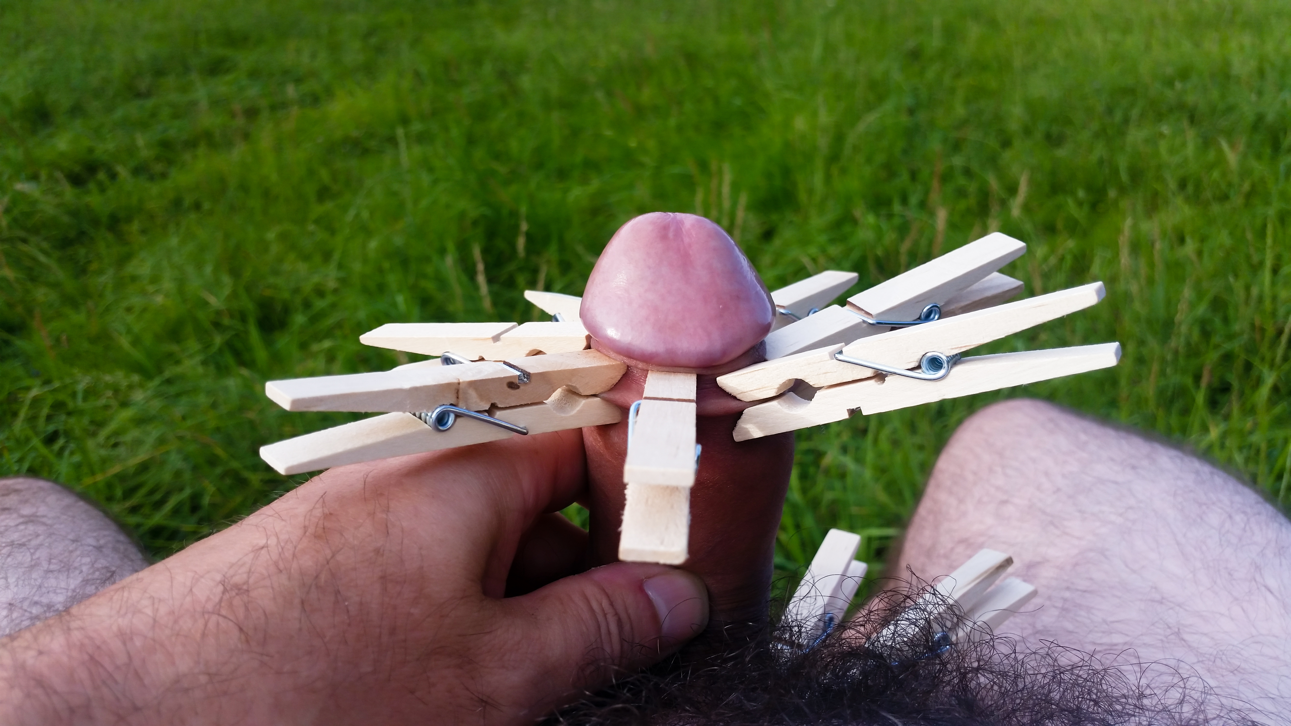 My foreskin with clothes pins