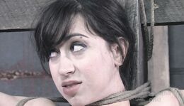 Hogtied, Rope Bondage