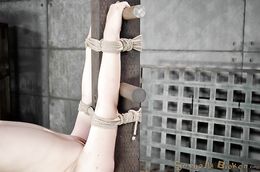 Humiliated white girl gets blacked from behind