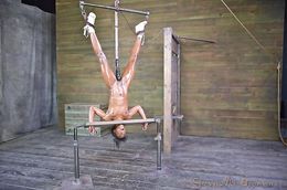 Suspended athletic ebony with a white dick in the mouth